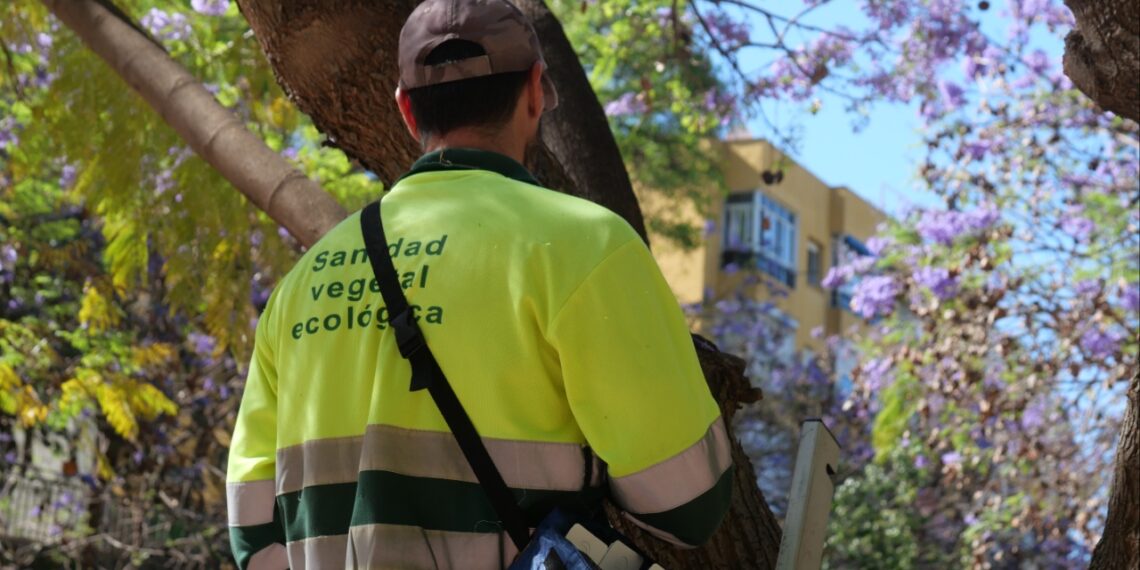 El Congreso Nacional PARJAP destacará la sanidad vegetal como eje clave de la biodiversidad urbana