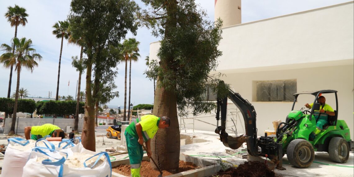 Marbella inicia la transformación del entorno del Faro con las obras de acondicionamiento del jardín