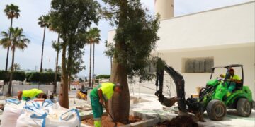 Marbella inicia la transformación del entorno del Faro con las obras de acondicionamiento del jardín