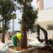 Marbella inicia la transformación del entorno del Faro con las obras de acondicionamiento del jardín