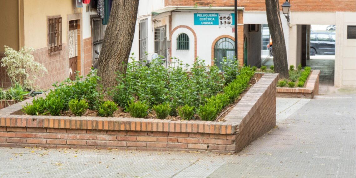 El Ayuntamiento de Marbella acomete una actuación de mejora y embellecimiento de las zonas ajardinadas de los pasajes Salvador Allende y Simón Bolívar