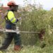 El Ayuntamiento de Benalmádena realiza trabajos de desbroce en arroyos y parcelas municipales para evitar incendios