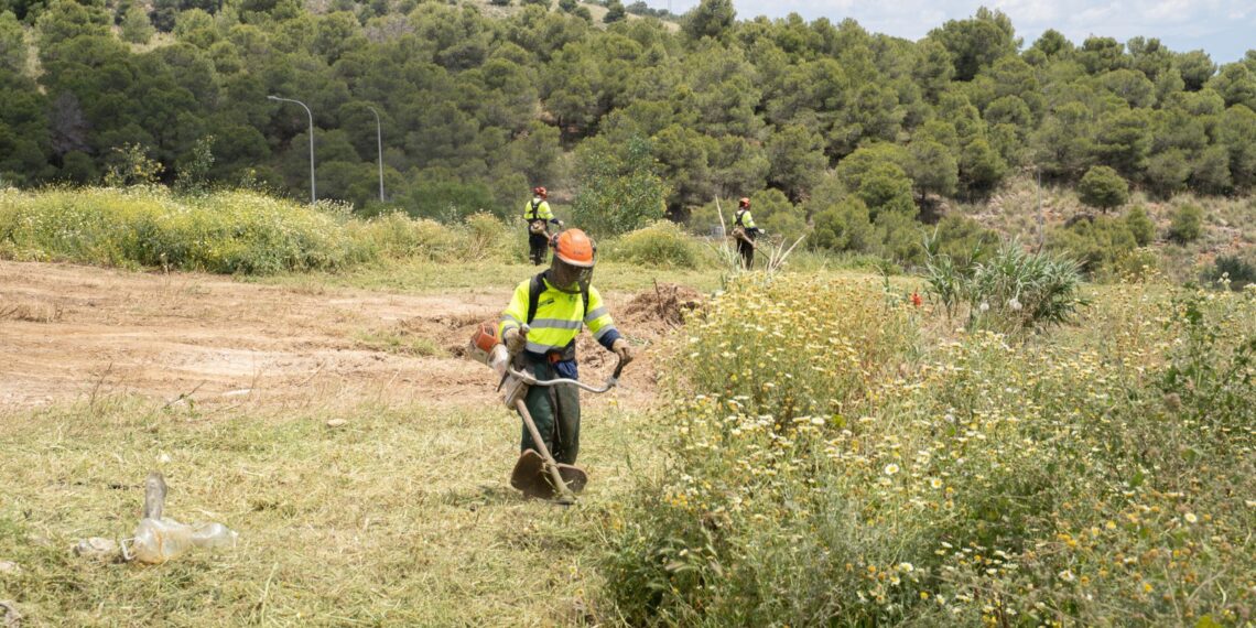 Lara firma un bando para que las parcelas y terrenos sin urbanizar cumplan las medidas de prevención de incendios
