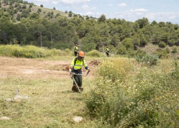 Lara firma un bando para que las parcelas y terrenos sin urbanizar cumplan las medidas de prevención de incendios