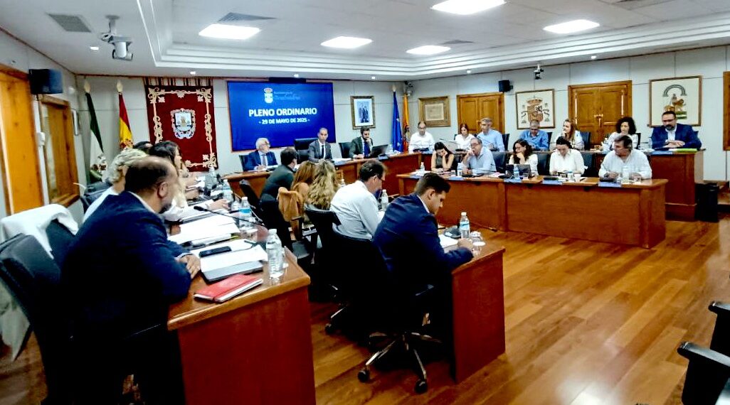 El Ayuntamiento de Benalmádena inicia la tramitación para dar ayudas a los comercios afectados por obras