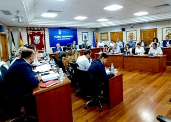 El Ayuntamiento de Benalmádena inicia la tramitación para dar ayudas a los comercios afectados por obras