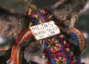 Mijas impulsa un «parque recreativo» para mejorar el bienestar de los burro-taxis