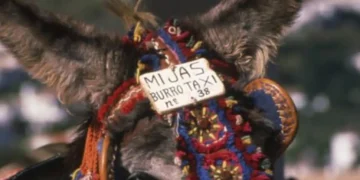 Mijas impulsa un «parque recreativo» para mejorar el bienestar de los burro-taxis