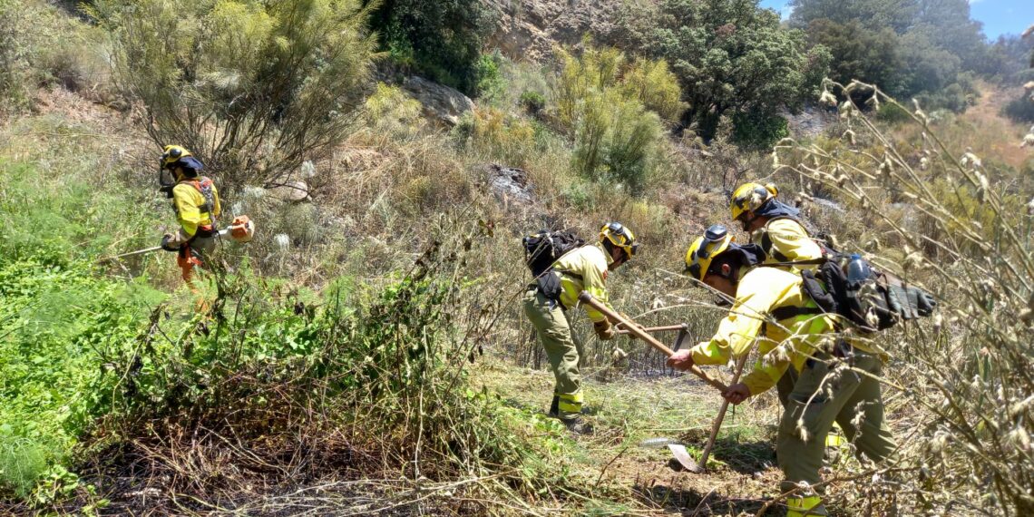 Los bomberos forestales trabajan para controlar un incendio ya estabilizado en Arriate