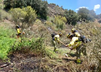 Los bomberos forestales trabajan para controlar un incendio ya estabilizado en Arriate