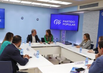 El PP llevará al Congreso una propuesta para mejorar la movilidad en la Costa del Sol