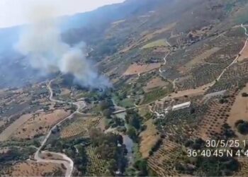 Declarado un incendio forestal en Guaro, en la zona de Río Grande