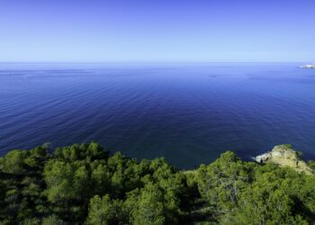 Turismo Costa Del Sol continúa impulsando el Sello “Huella Zero” para premiar la sostenibilidad en el sector turístico