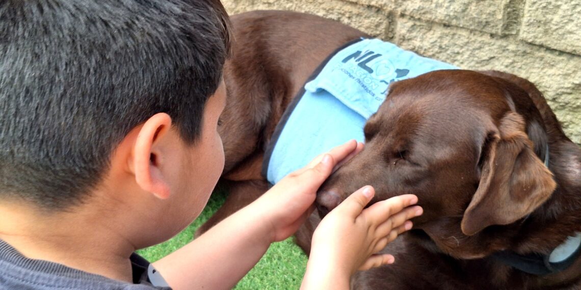 ‘La casita de Nilo’, el nuevo espacio para la realización de Intervenciones Asistidas con Animales