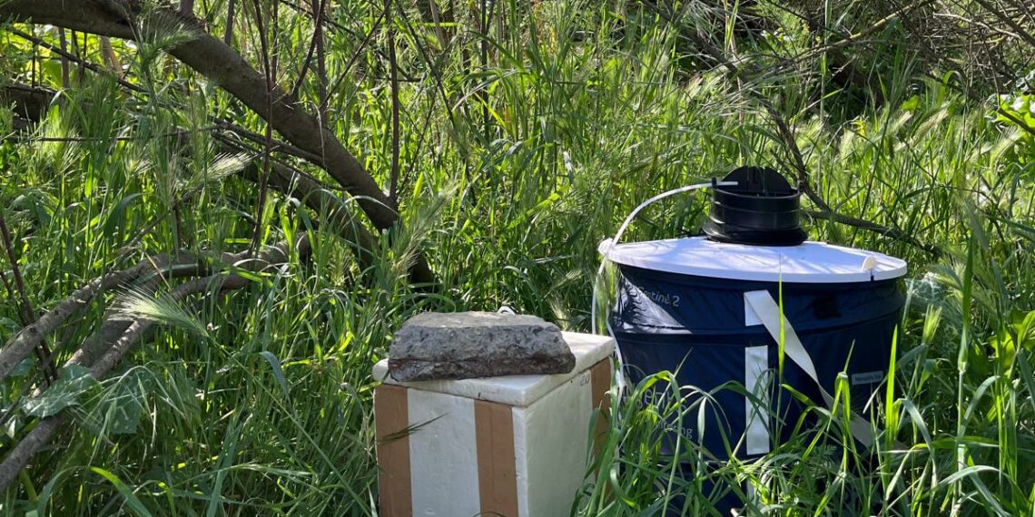 Salud adelanta un mes la vigilancia y control de mosquitos portadores del virus del Nilo occidental