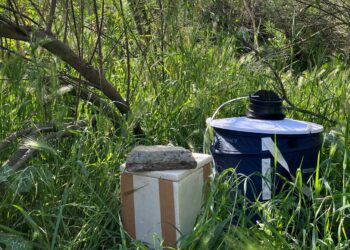Salud adelanta un mes la vigilancia y control de mosquitos portadores del virus del Nilo occidental