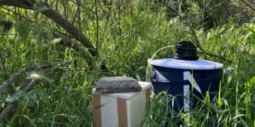 Salud adelanta un mes la vigilancia y control de mosquitos portadores del virus del Nilo occidental