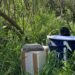 Salud adelanta un mes la vigilancia y control de mosquitos portadores del virus del Nilo occidental