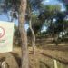 La EMA informa de la prohibición de barbacoas y quemas agrícolas en espacios forestales