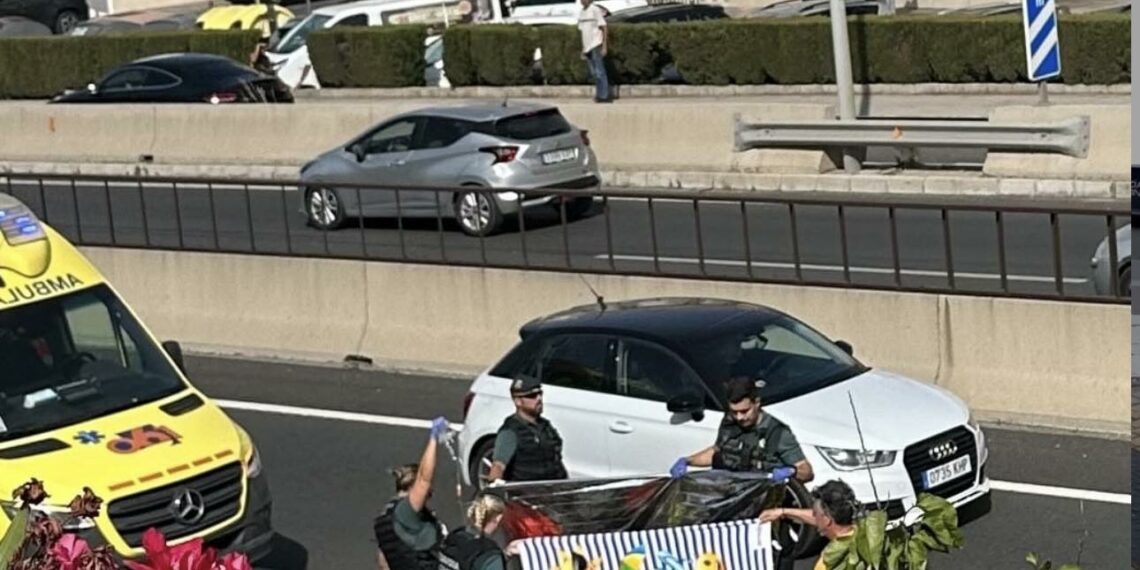 Fallece una mujer en un accidente de moto en la A-7 a la altura de Mijas