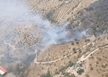Estabilizado un incendio forestal declarado en Álora