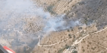 Estabilizado un incendio forestal declarado en Álora