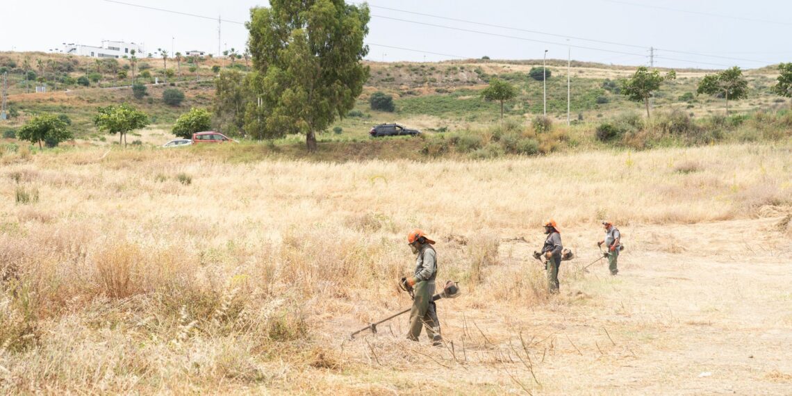 Estepona realiza la limpieza y desbroce de 269 kilómetros de caminos rurales y parcelas para prevenir incendios forestales