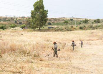 Estepona realiza la limpieza y desbroce de 269 kilómetros de caminos rurales y parcelas para prevenir incendios forestales