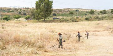 Estepona realiza la limpieza y desbroce de 269 kilómetros de caminos rurales y parcelas para prevenir incendios forestales