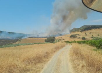 Estabilizado un incendio forestal declarado en Coín