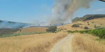 Estabilizado un incendio forestal declarado en Coín