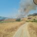 Estabilizado un incendio forestal declarado en Coín
