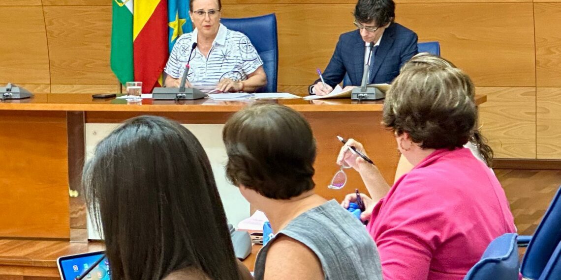 Fuengirola exige al Gobierno más medios materiales, humanos y técnicos para combatir el crimen organizado
