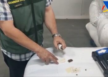 Dos detenidos y 300 kilos de marihuana procedente de EE.UU. intervenidos en Málaga