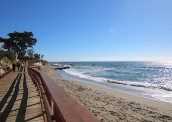 Mijas conmemora el Día Mundial de los Océanos con una jornada de limpieza colaborativa y la puesta en valor de las praderas de posidonias
