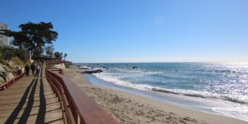 Mijas conmemora el Día Mundial de los Océanos con una jornada de limpieza colaborativa y la puesta en valor de las praderas de posidonias