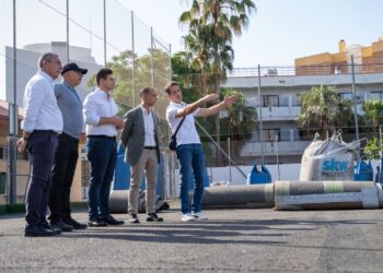 Comienza la renovación total del césped del Estadio Francisco Alarcón Isco