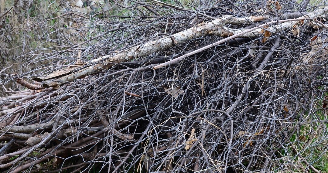 Margarita del Cid pide a propietarios de terrenos y parcelas su correcto mantenimiento por seguridad, salubridad y estética