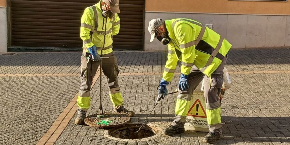 Torremolinos pone en marcha durante el verano una tratamiento de choque dentro de la campaña de desratización y desinsectación