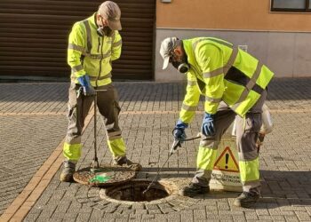 Torremolinos pone en marcha durante el verano una tratamiento de choque dentro de la campaña de desratización y desinsectación