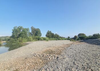 Ecologistas piden a la Junta que declare al Genal como un «río sobreexplotado» ante la expansión de los aguacates