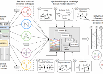 Desarrollan un sistema ‘inteligente’ que analiza los genes implicados en enfermedades como la fatiga crónica