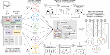 Desarrollan un sistema ‘inteligente’ que analiza los genes implicados en enfermedades como la fatiga crónica