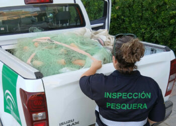 Incautadas 14 redes de pesca no reglamentarias en la playa de Sabinillas