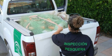 Incautadas 14 redes de pesca no reglamentarias en la playa de Sabinillas