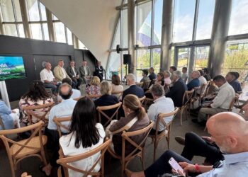 Andalucía, Valencia, Murcia y Baleares impulsan un modelo de gobernanza compartida para conservar la Posidonia