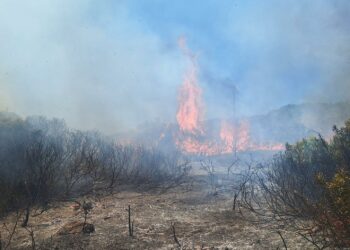 Incendio en la zona de La Gamona, en las inmediaciones del parque eólico de Casares