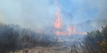 Incendio en la zona de La Gamona, en las inmediaciones del parque eólico de Casares