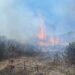 Incendio en la zona de La Gamona, en las inmediaciones del parque eólico de Casares