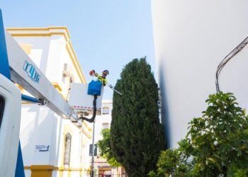 San Pedro Alcántara intensifica los trabajos de cuidado de sus zonas verdes para mantener la vegetación en óptimas condiciones durante el verano